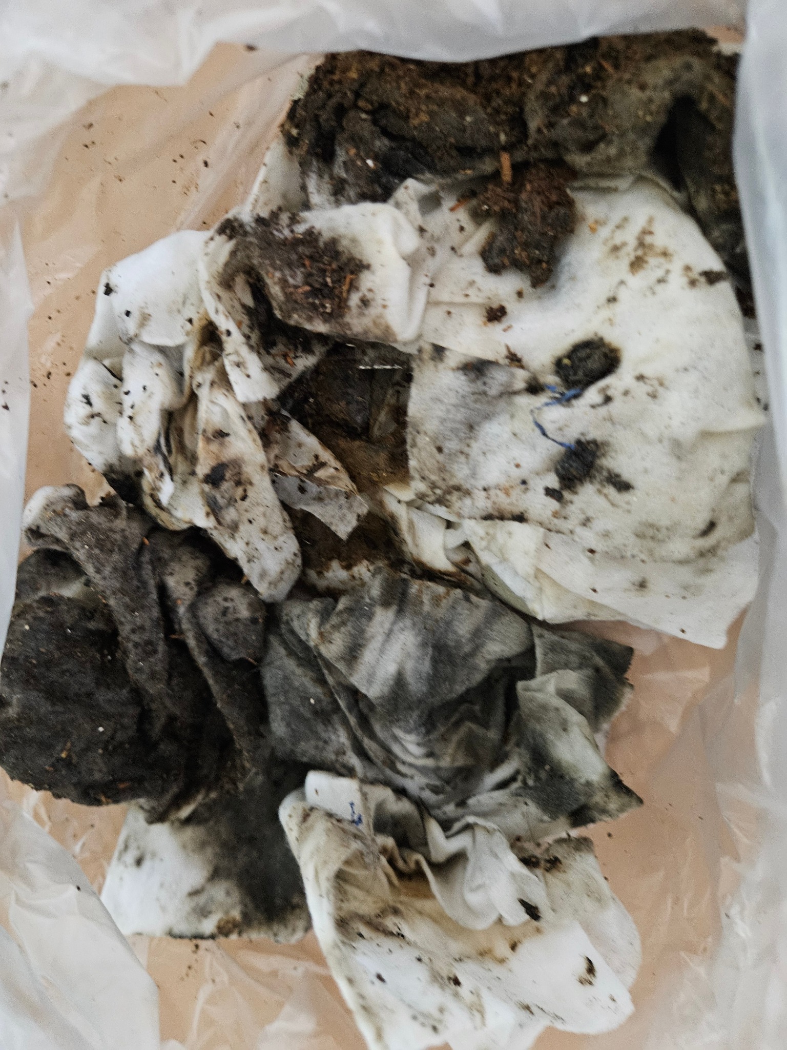 배관에서 제거한 기름 찌꺼기